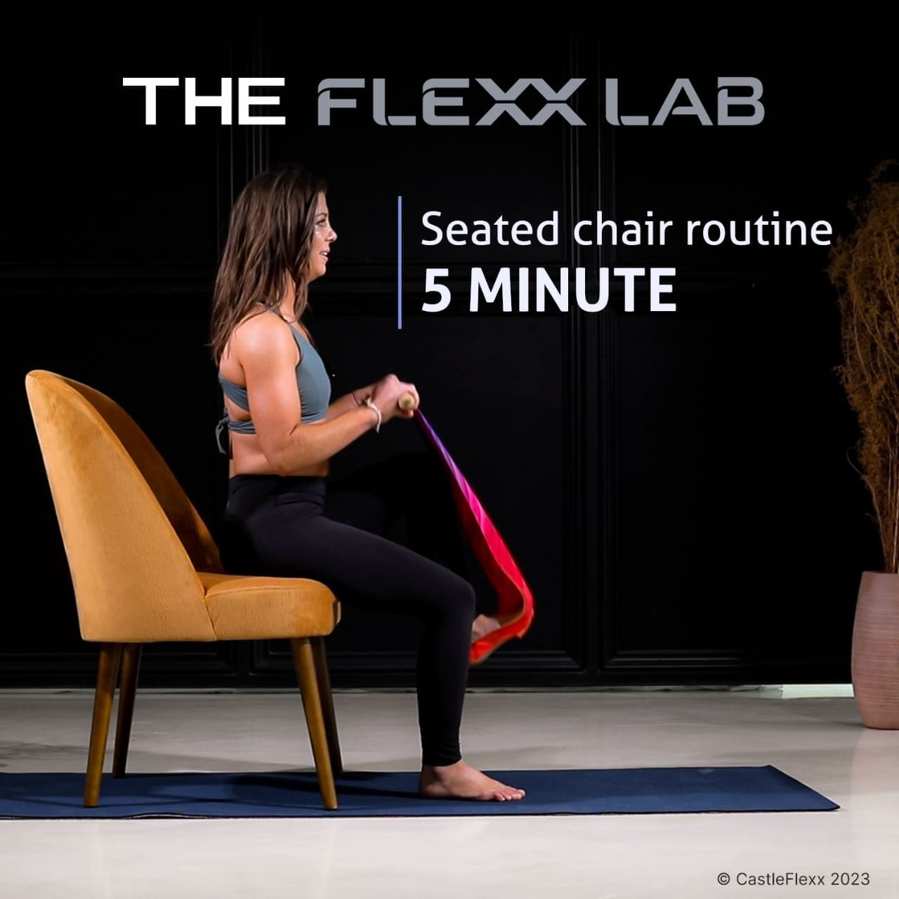 seated-routine-stratching-castleflexx